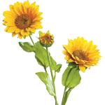 Gelbe DPI Kunstpflanzen & Textilpflanzen mit Blumenmotiv 