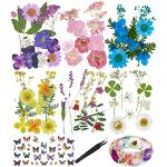 Bunte Gepresste Blumen mit Insekten-Motiv 72-teilig 