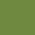 Duni Serviette - leaf green