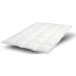 Weiße Allergiker Dunlopillo Kassettendecken & Kassettenbetten aus Baumwolle 240x220 
