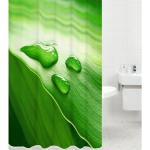 Grüne WCShop24 Duschvorhänge maschinenwaschbar 180x180 