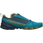 Dynafit Herren Traverse GTX Schuhe (Größe 40, blau)