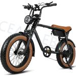 20 Zoll E-Bike Elektrofahrrad E-Fahrrad 48V 15Ah Pedelec E Mountainbike 40KM/H