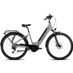 E-Bike SAXONETTE "Premium Sport (Wave)" E-Bikes silberfarben