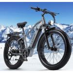 E Mountainbike 26 Zoll Fatbike EBike Peak 1000W Elektrofahrrad 48V 17.5Ah MTB