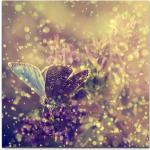 Violette Leinwandbilder mit Insekten-Motiv 