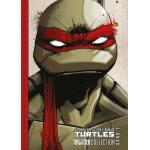 Eastman Kevin: Teenage Mutant Ninja Turtles Splitter Collection 01