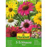 FloraSelf Blumensamen & Pflanzensamen 5-teilig 