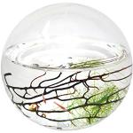 Ecospheren aus Glas 