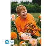 Ed Sheeran Poster 'Rose Field' (91.5x61)