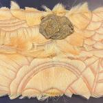Fuchsiafarbene Clutches aus Veloursleder mit Innentaschen 