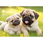 Reduzierte Silberne Fotokalender mit Hundemotiv DIN A3 
