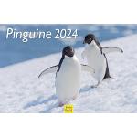 Reduzierte Silberne Fotokalender mit Pinguinmotiv DIN A3 