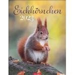 Reduzierte Fotokalender mit Eichhörnchenmotiv Hochformat 