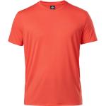 Orange Eider T-Shirts für Herren Größe L für den für den Sommer 
