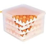 Quadratische Eierboxen aus Kunststoff mit Deckel 