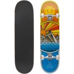 Element Complete Skateboard Rise and Shine 8.0 Inch - hochwertiges komplett Board