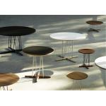 Silberne Skandinavische Carl Hansen & Søn E015 Design Tische aus Nussbaum 