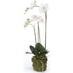 Weiße Emerald Künstliche Orchideen 