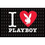 Empire Merchandising Playboy Poster 