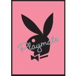 Rosa Empire Merchandising Playboy Poster 