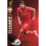 Empire 552280 Fußball Liverpool Suarez 12/13 Sport