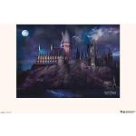 Grupo Erik Harry Potter Hogwarts Kunstdrucke glänzend aus Papier 30x40 
