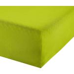 Grüne Spannbettlaken & Spannbetttücher aus Baumwolle 130x220 