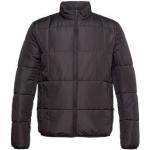 Schwarze Gesteppte Esprit Collection Winterjacken aus Polyamid für Herren Größe L für den für den Winter 
