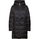 Schwarze Gesteppte Esprit Collection Winterjacken aus Polyamid für Damen Größe S 