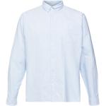 Reduzierte Hellblaue Gestreifte Esprit Button Down Kragen Streifenhemden aus Baumwolle für Herren Größe L 