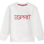 ESPRIT Logo-Sweatshirt mit Rundhalsausschnitt