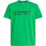 Grüne Esprit T-Shirts aus Baumwolle für Herren Größe L 