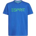 Blaue Esprit T-Shirts aus Baumwolle für Herren Größe L 