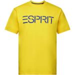 Gelbe Esprit T-Shirts aus Baumwolle für Herren Größe XXL 