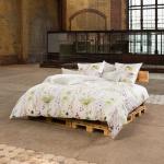 Grüne ESTELLA Bettwäsche Sets & Bettwäsche Garnituren aus Mako-Satin 40x80 