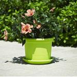 Grüne 20 cm Runde Pflanzkübel & Blumentöpfe 20 cm aus Kunststoff 5-teilig 