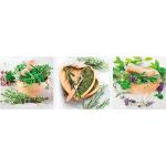Reduzierte Grüne Küchenbilder mit Lavendel-Motiv aus Glas 3-teilig 