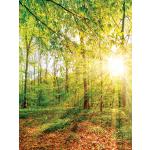 Reduzierte Grüne Landschaftsbilder aus Holz Querformat 60x80 