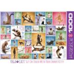 Eurographics 6000-0953 - Yoga Katzen Puzzle