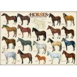 1000 Teile Eurographics Pferde & Pferdestall Puzzles mit Tiermotiv 