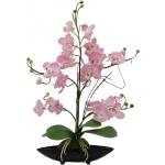 Lila Künstliche | Günstig kaufen | Orchideen Trends 2024 online