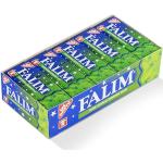 Falim Kaugummi mit Minzaroma ohne Zucker (20 x 5 Stück/140g), Box