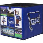 Fun-Möbel Hertha BSC Faltboxen aus Kunststoff 