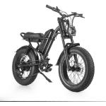 Fangqi E-Bike 20 Zoll Mountainbike, 500W Heckmotor, abnehmbarer 48V/15A Akku, Kettenschaltung, 500,00 W, (set, Mit intelligentem LCD-Bildschirm