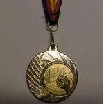 Medaillen-Band Farbe: Gold Tischtennis aus Stahl 40mm inkl Turnier - mit einem Emblem Medaille Fanshop L/ünen Medaillen e262 TT