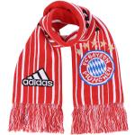 FC Bayern München Schal