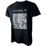 Schwarze FC Liverpool Rundhals-Ausschnitt T-Shirts für Herren Größe XXL 