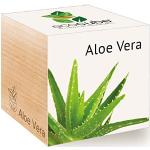 Feel Green 296244 Ecocube Aloe Vera, Nachhaltige G
