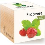Feel Green 296350 Ecocube Erdbeere, Bio Samen, Nachhaltige Geschenkidee (100% Eco Friendly), Grow Your Own/Anzuchtset, Pflanzen Im Holzwürfel, Made in Austria
